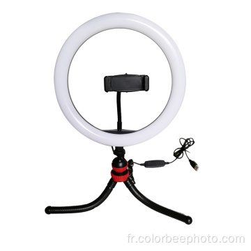 Mini anneau lumineux selfie alimenté par USB de 10 pouces 26 cm